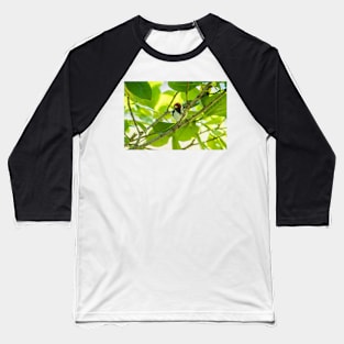 Red-crested cardinal Baseball T-Shirt